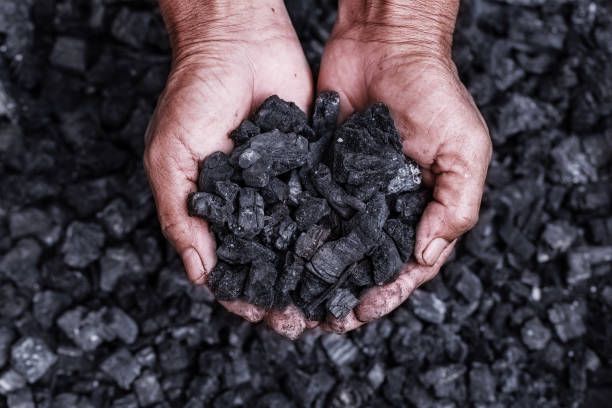 [Image: coal-mining-coal-miner-in-the-man-hands-...RBagihRO0=]